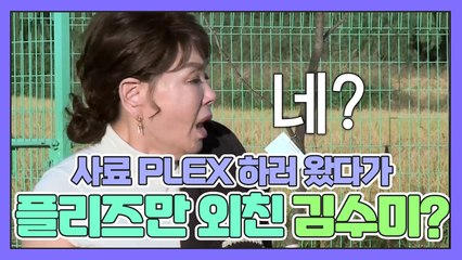 사료 PLEX 하러 왔다가 "plz..! plz..!"만 외치는 김수미?!