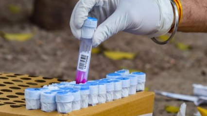 Glimpse of prime time debate over Covid-19