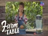 Farm To Table: Ceviche recipes with a Filipino twist!