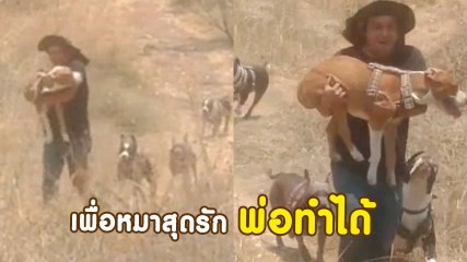 โคตรซึ้ง ! คุณพ่อทาสมา อุ้มหมาพิการวิ่งเล่น เพื่อทำให้ชีวิตมันมีค่าแม้เดินไม่ได้