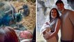 Dans un zoo, une femelle gorille porte son petit pour le montrer à une mère et son bébé de l'autre côté de la vitre