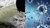 Coronavirus क्या Water से फैल सकता है ? जानिए क्या कहते है  Expert । Boldsky