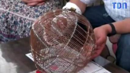 Il s'enferme la tête dans une cage pour arrêter de fumer