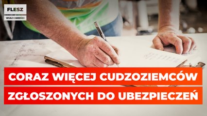 Coraz więcej cudzoziemców zgłoszonych do ubezpieczeń