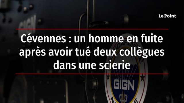 Cévennes : un homme en fuite après avoir tué deux collègues dans une scierie