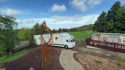 Giraffes return to Edinburgh Zoo for the first time in 15 years