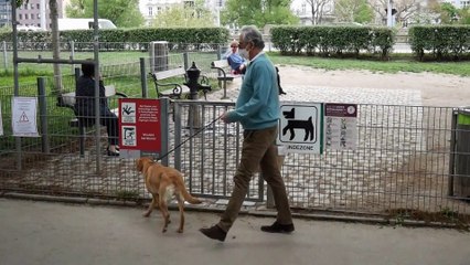 Covid-19 : le commerce illégal de chiots en plein essor en Autriche