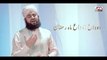 Alvida Alvida Mahe Ramzan 2021 - Hafiz Ahmed Raza Qadri - Official Video - New Ramzan Naat - Chontara Wall