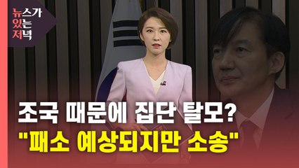 [뉴있저] '조국 때문에 집단 탈모'?..."패소 예상되지만 소송" / YTN