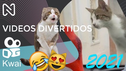 Videos DIVERTIDOS de KWAI - COMPILATION MAYO 2021