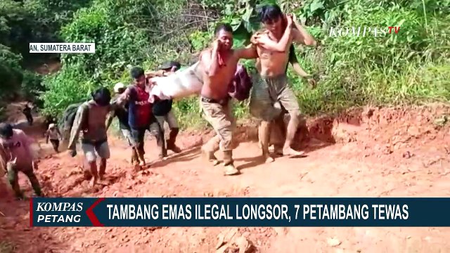 Tambang Emas Ilegal Longsor Usai Diguyur Hujan Deras, 7 Orang Tewas