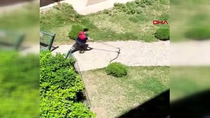 OSMANİYE SİTENİN ÇOCUK PARKINDA YAKALANAN YILAN DOĞAYA SALINDI