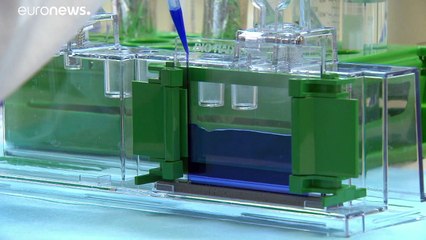 I malati di cancro dimenticati durante la pandemia