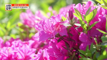 육전 갑부의 새로운 도전☞ 새로운 맛집의 탄생?!