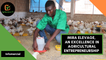 Burkina Faso: MIRA ELEVAGE, an excellence in agricultural entrepreneurship
