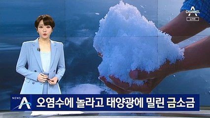 日 오염수에 놀라고 태양광 발전소에 밀린 ‘금 소금’