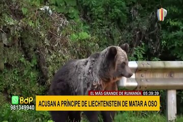 Investigan a príncipe por matar al oso más grande de Rumanía