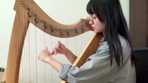 Avatar The Last Airbender - The Avatar'S Love (Harp)