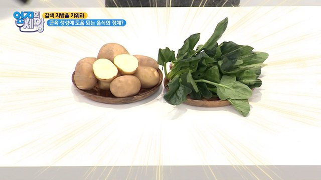 44kg 감량한 몸짱 가족! 가족 몸짱 탄생 음식의 정체는~?