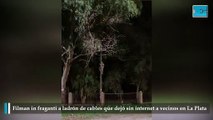 Filman in fraganti a ladrón de cables que dejó sin internet a vecinos en La Plata