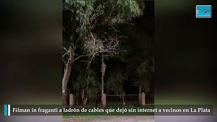 Filman in fraganti a ladrón de cables que dejó sin internet a vecinos en La Plata