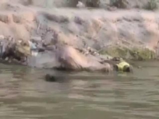 - Ganj Nehri kıyısına 71 ceset vurdu