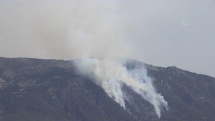 Son dakika haberi! Çardak'ta orman yangını