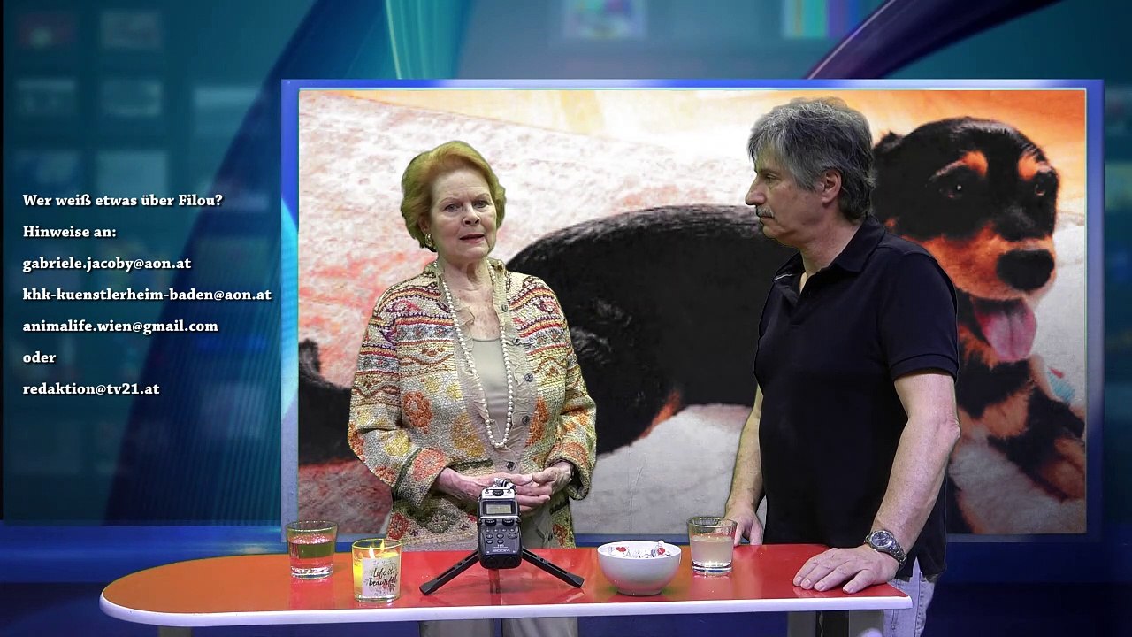 Wo ist Filou? Gabiriele Jacoby sucht verzweifelt ihren Schützling