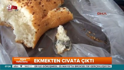 Ekmeğin içinden çıkanlar şok etti!