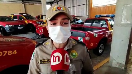 O que fazer em ataque de abelhas? Bombeiros orientam