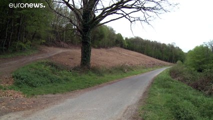 وفاة سفاح فرنسي  دأب على "اصطياد فتاتين عذراوين كل سنة"