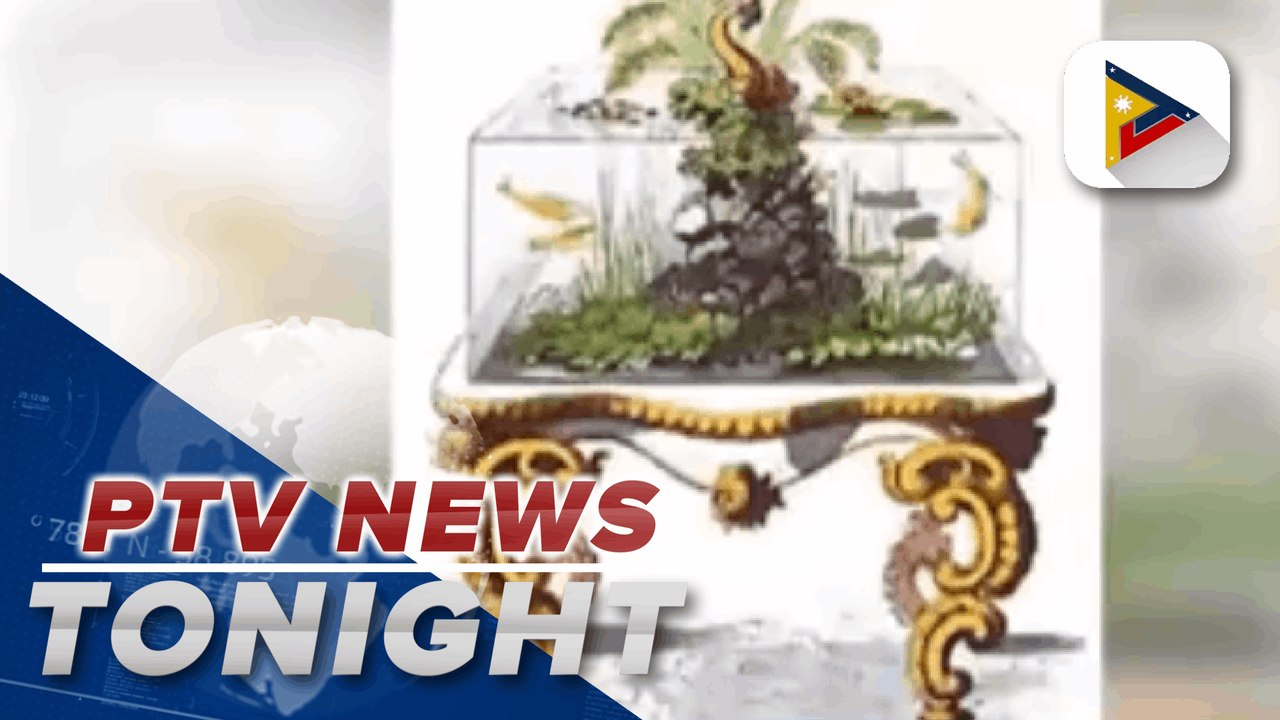 'Box of Wonder' gaining popularity in Vietnam