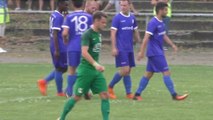 Regionalligist vs. Oberligist: Altglienicke schlägt Chemie Leipzig