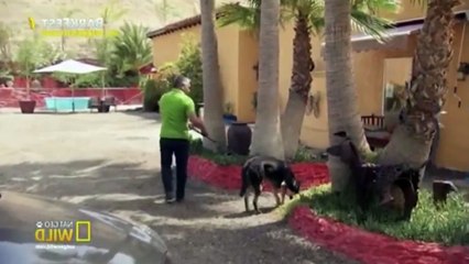 Cesar 911 S02E12