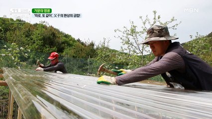 '따로, 또 같이', 父子의 환상의 궁합♥