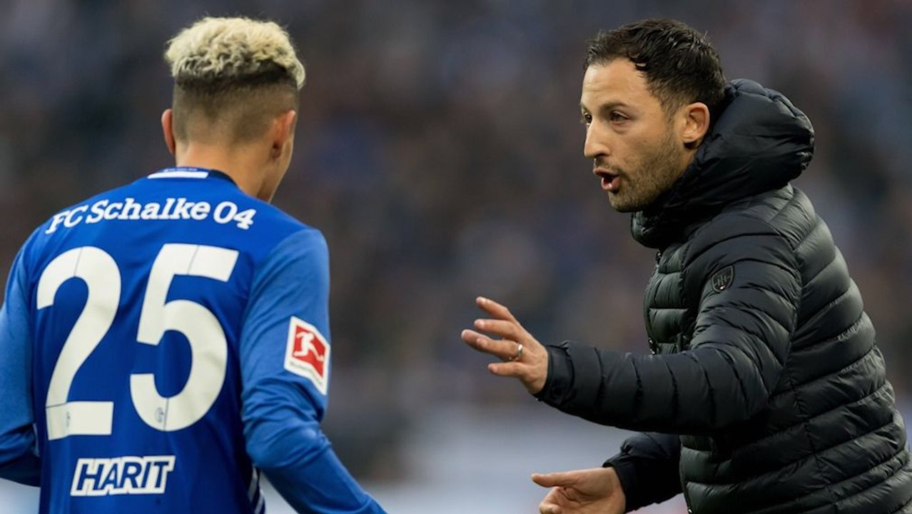 Schalkes Pokal-Lust: 'Die Jungs brennen, ich brenne!'