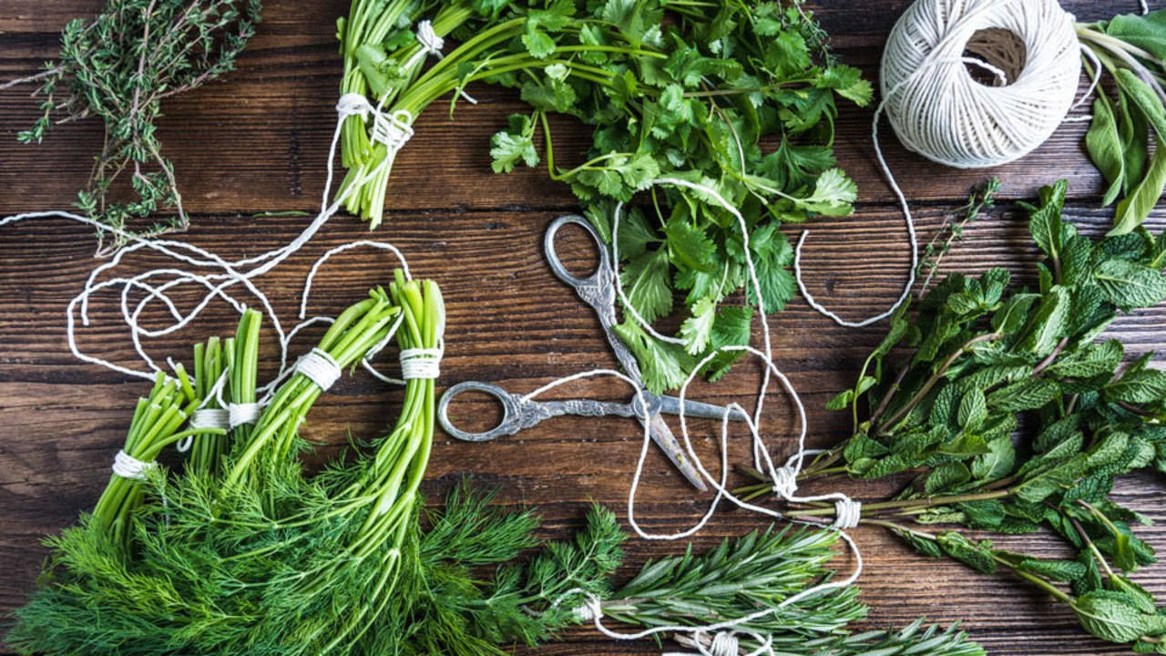 Preserving Fresh Herbs