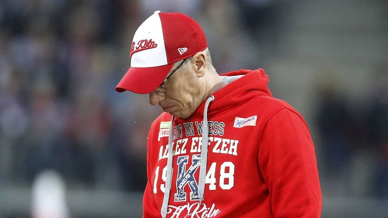 Stöger: 'Die Jungs laufen wie die Häschen'