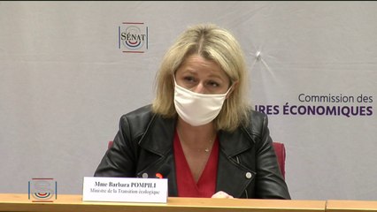 Loi climat : "l'idée n'est pas de rigidifier, mais de donner des perspectives" juge Barbara Pompili