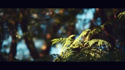 Présentation de l' Uniti Atom Headphone Edition de Naim