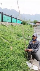 Earth's Paradise Caught A Catch Fish In Dal Lake Of Kashmir