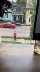 Dog Laying in Grass Doesn't Want to Continue Walk