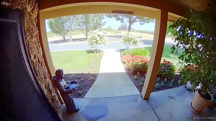 Grandma Really Doesn't Like Snakes in Her House