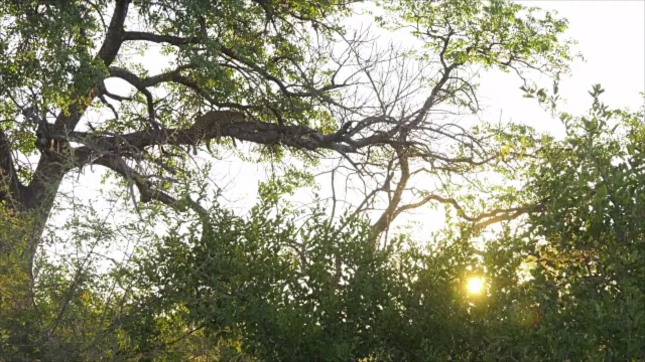 You Could Win a Luxury Safari for 2 in Botswana When You Answer This Simple Question