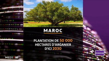 JT Economie - 11/05/2021