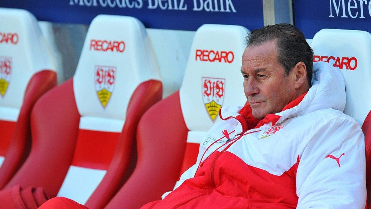 VfB immer tiefer im Schlamassel: Das sagen die Fans