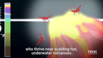 This Incredible Animation Shows How Deep The Ocean Really Is