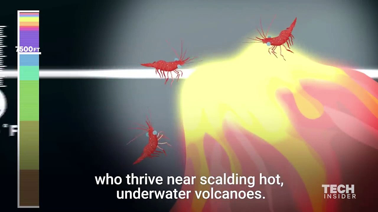 This Incredible Animation Shows How Deep The Ocean Really Is