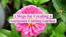 5 Steps for Creating a Gorgeous Cutting Garden (Plus How to Make the Most of Your Blooms)