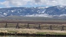 Spring snowflakes turn parts of the West into a winter wonderland